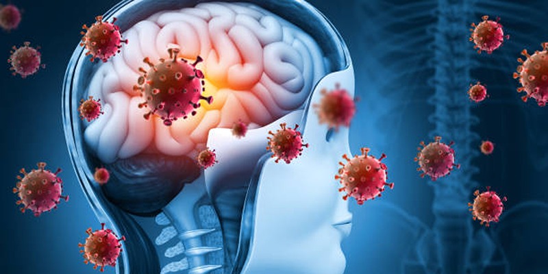 Natural Remedies and Medical Treatments for Meningitis